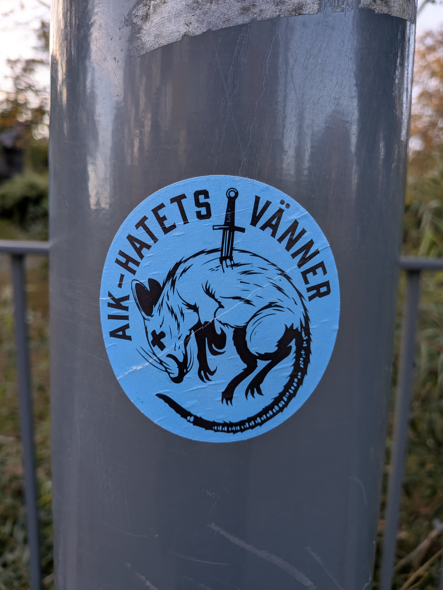 The sticker is circular with a bright blue background. In the center, a black silhouette of a rat is depicted. The rat is curled up, with its head down and its tail forming a loop. A black sword is plunged vertically through the rat's back, with the hilt visible above the rat's body. The rat has its eyes crossed out with 'X' marks, and its fur is rendered with sharp, angular lines. The text 'AIK-HATETS VÄNNER' is written in black, uppercase letters in an arc around the top of the sticker.