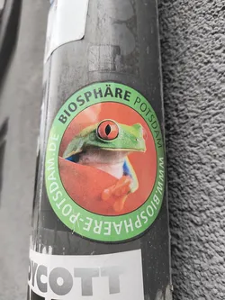A round sticker with a green border and an orange center.  The sticker features a picture of a red-eyed tree frog and the text "BIOSPHÄRE POTSDAM"  around the image.  There is also text that says www.biosphaere-potsdam.de around the bottom half of the circle. 