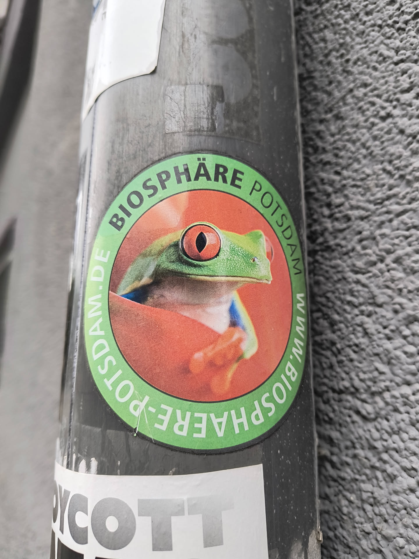 A round sticker with a green border and an orange center.  The sticker features a picture of a red-eyed tree frog and the text "BIOSPHÄRE POTSDAM"  around the image.  There is also text that says www.biosphaere-potsdam.de around the bottom half of the circle. 