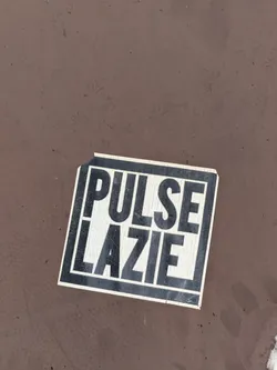 The sticker, featuring a black outline, is slightly torn. The text 'PULSE LAZIE' is prominently displayed. The sticker has a cracked texture, suggesting it's been exposed to the elements for a while. It's placed against a brown surface.