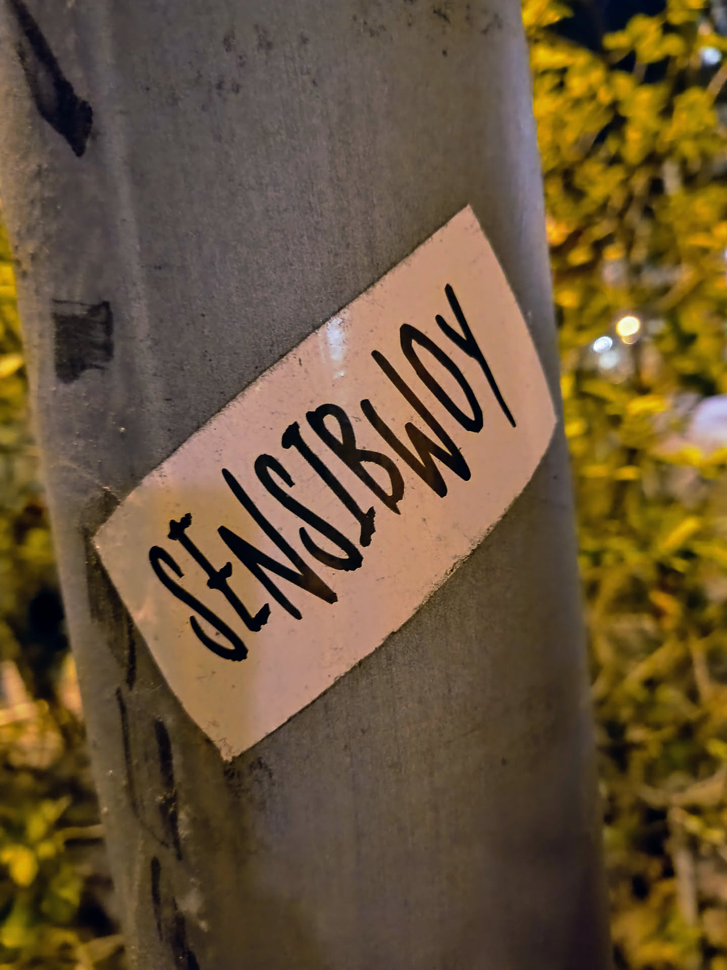 A rectangular sticker with rounded corners is affixed to a grey pole. The sticker has a light background with black text that reads "SENSIBWOT". The pole is weathered and has some dark marks on it.