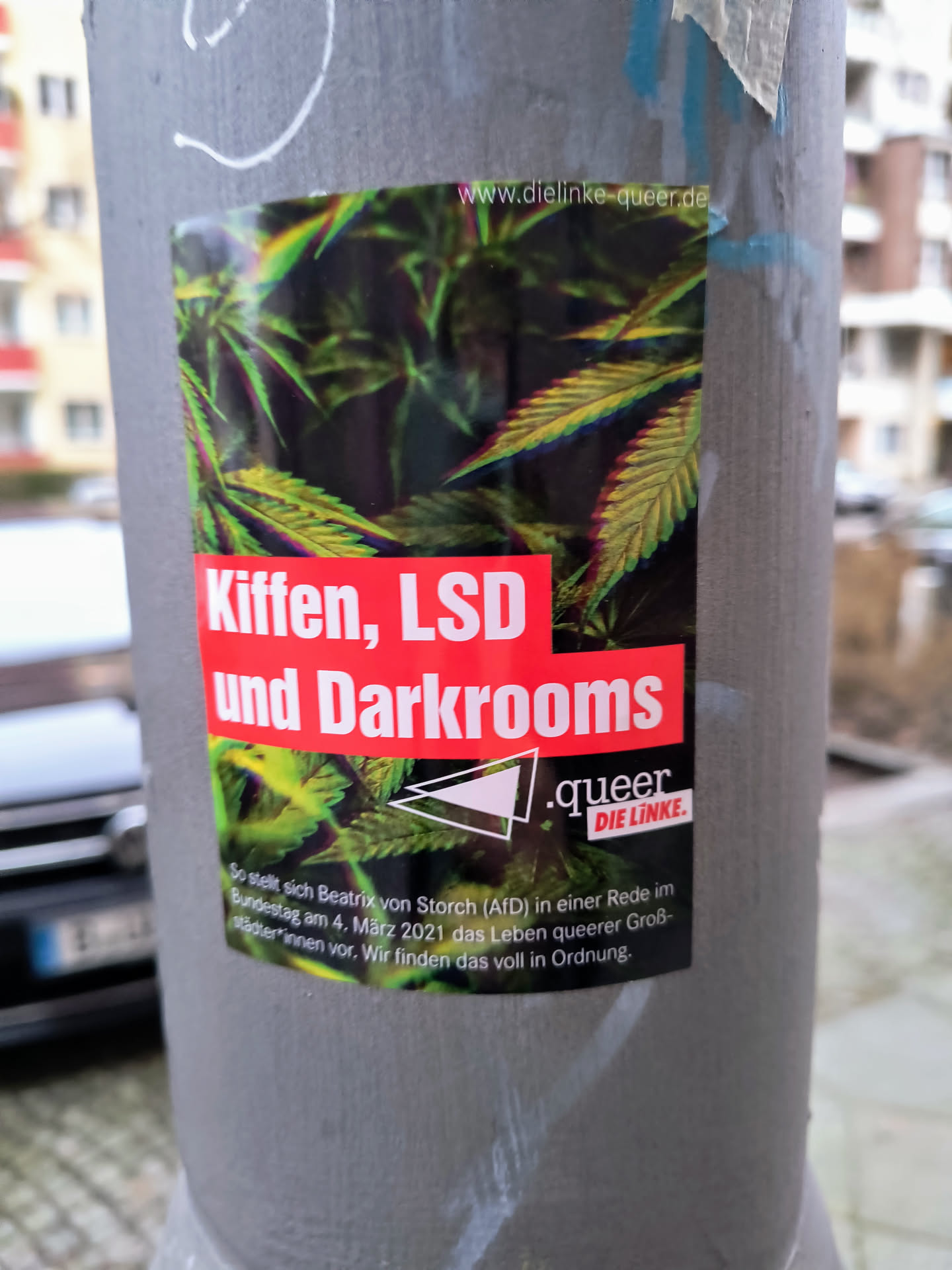 A sticker featuring a cannabis leaf design and the text "Kiffen, LSD und Darkrooms" in German.  The sticker also includes a logo for "Die Linke.queer" and a smaller text explaining their stance on a statement made by Beatrix von Storch (AfD).