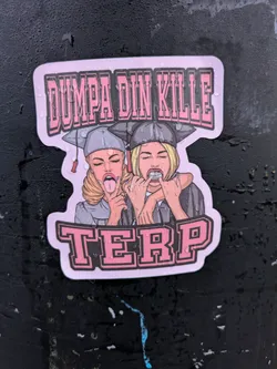 A sticker featuring two graduates making silly faces. The text "Dumpa din kille TERP" is written at the top. The sticker has a pink and white color scheme.