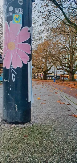 A large, pink flower sticker is prominently placed on a black lamppost in a park. The flower has many petals and a yellow center. Above it are other stickers, including one with the text "MTR". The lamppost is in a park with trees shedding their leaves, indicating it is autumn.