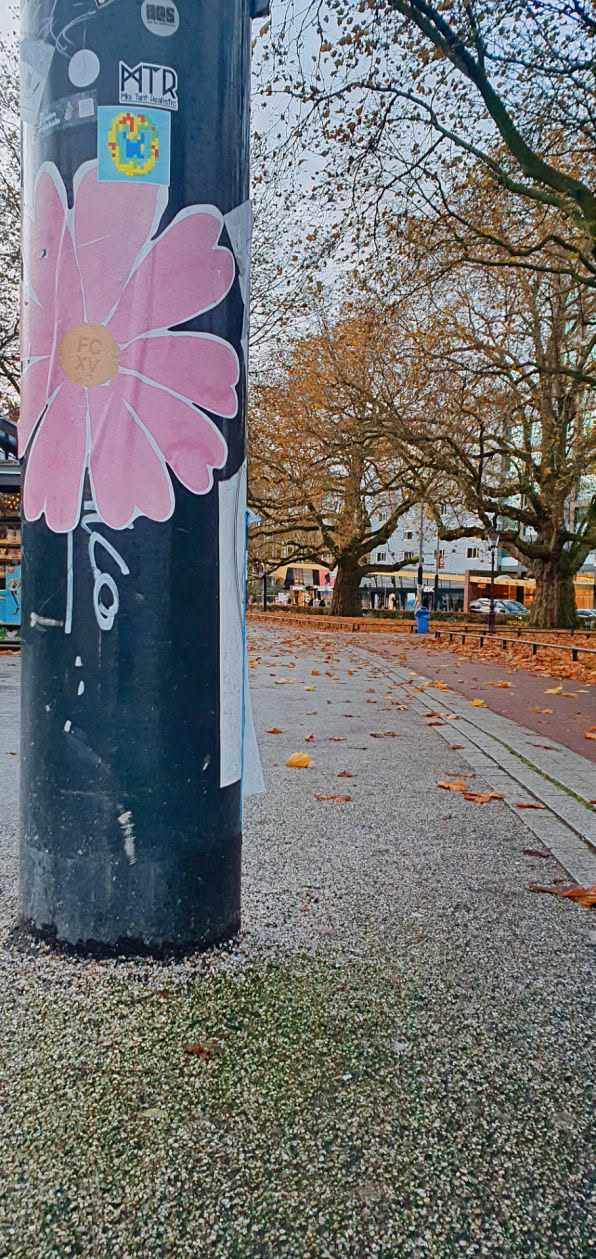 A large, pink flower sticker is prominently placed on a black lamppost in a park. The flower has many petals and a yellow center. Above it are other stickers, including one with the text "MTR". The lamppost is in a park with trees shedding their leaves, indicating it is autumn.