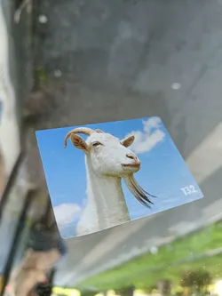 This sticker features a close-up of a white goat against a blue sky. The number 132 is visible in the bottom right corner. 