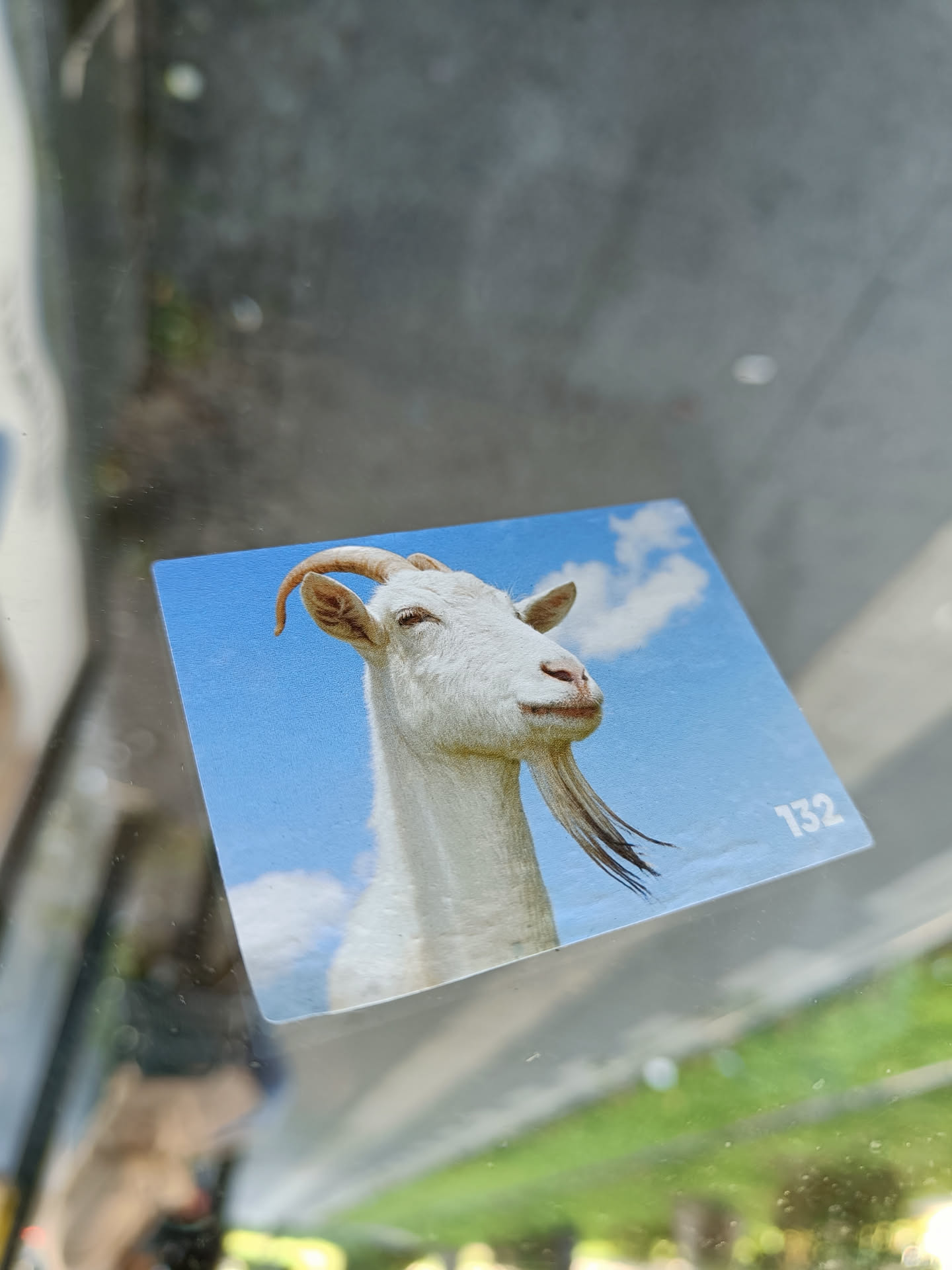 This sticker features a close-up of a white goat against a blue sky. The number 132 is visible in the bottom right corner. 