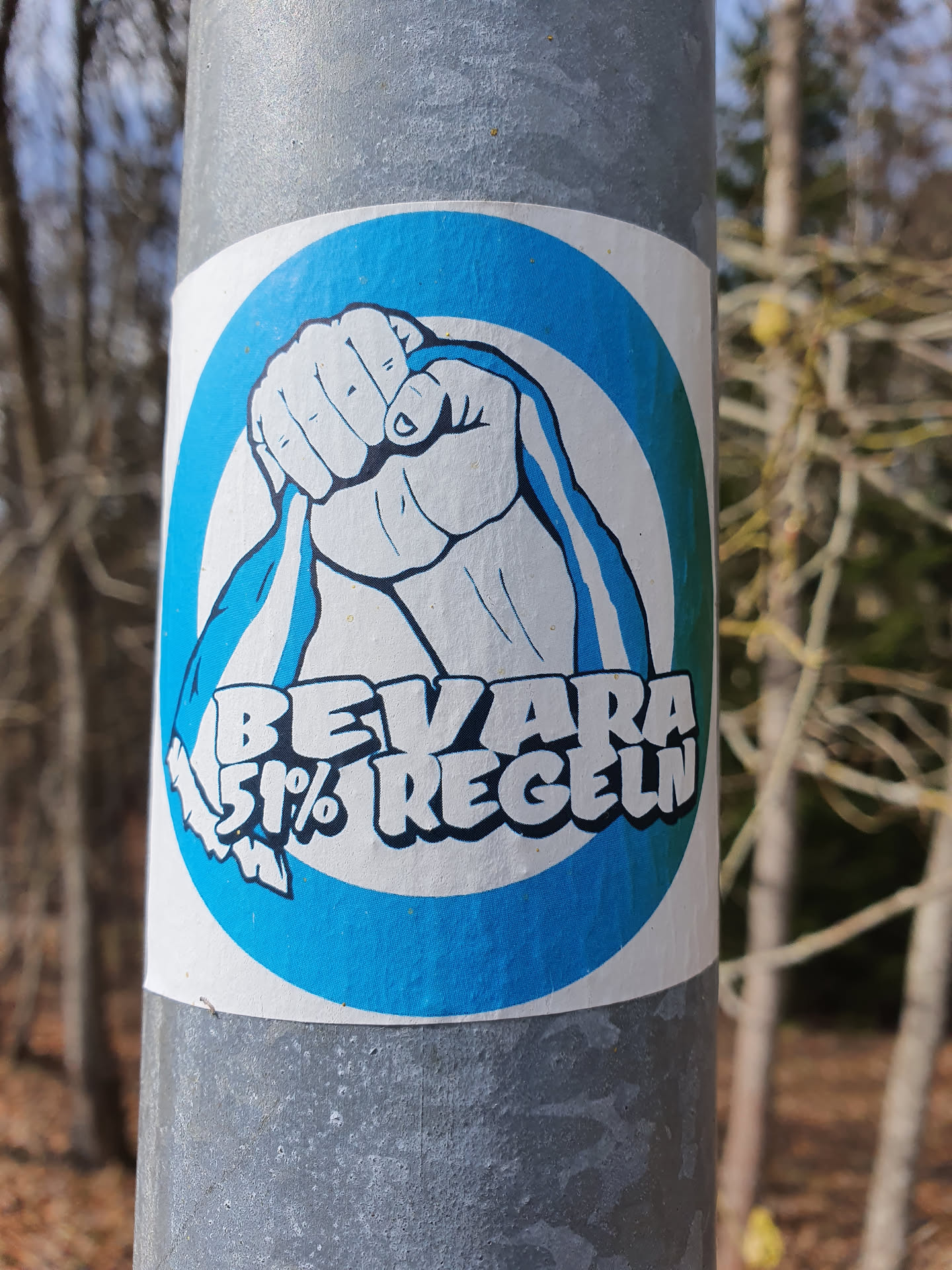 The sticker features a stylized fist clutching a ribbon, set against a blue circular background. The text "BEVARA 51% REGLN" is prominently displayed beneath the fist.  The image suggests a message of preserving or maintaining something, possibly related to a rule or regulation (51% possibly referring to a majority).