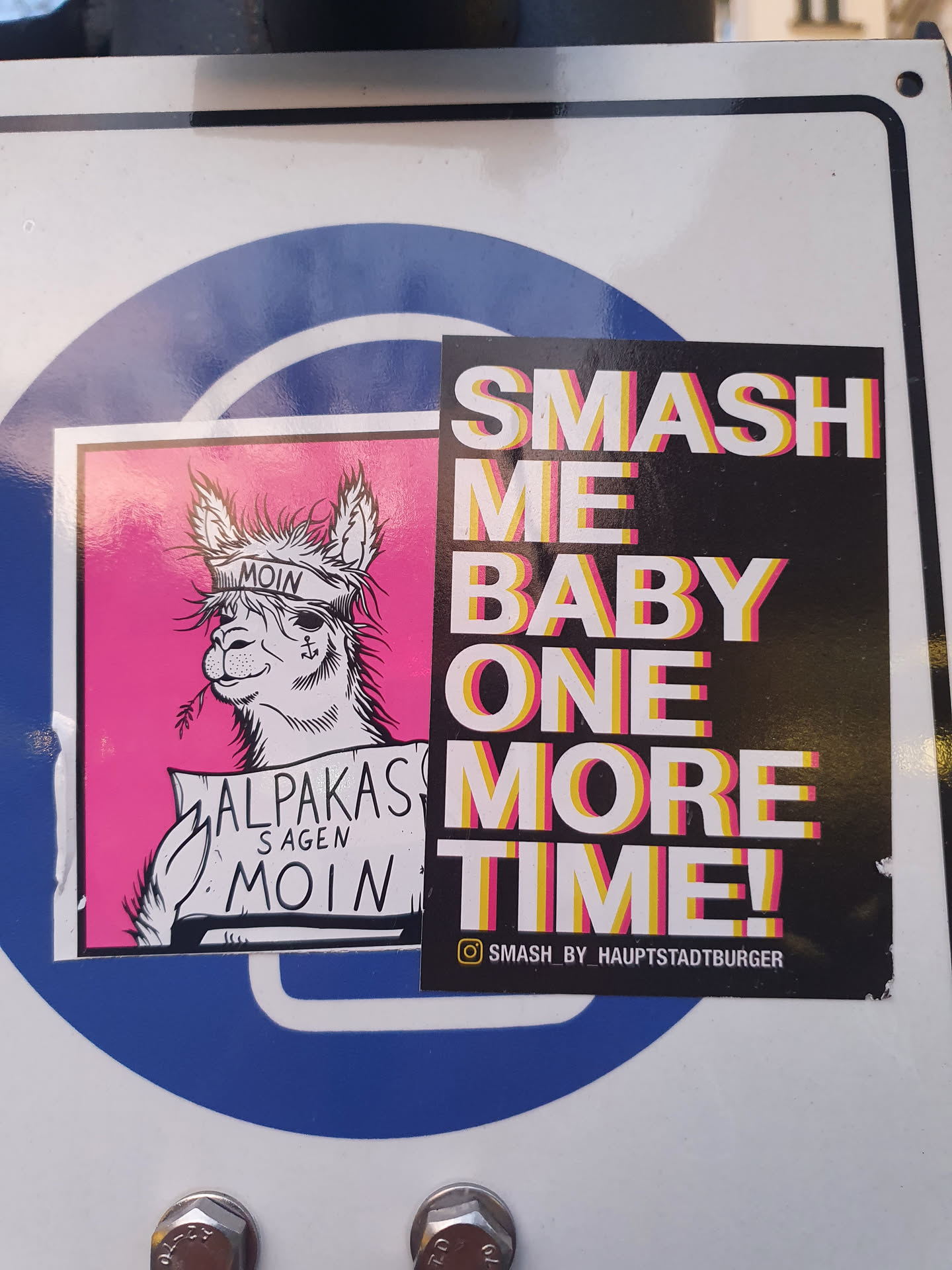 A sticker with a llama holding a sign that says "Alpakas sagen Moin" and text that says "Smash me baby one more time!"